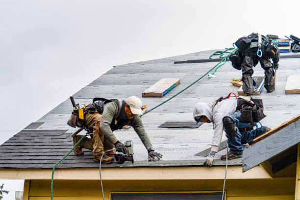 Professional Gutter Installation technician working in Lynco, WV